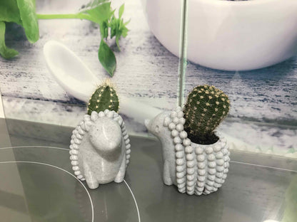 Macetero para cactus forma erizo