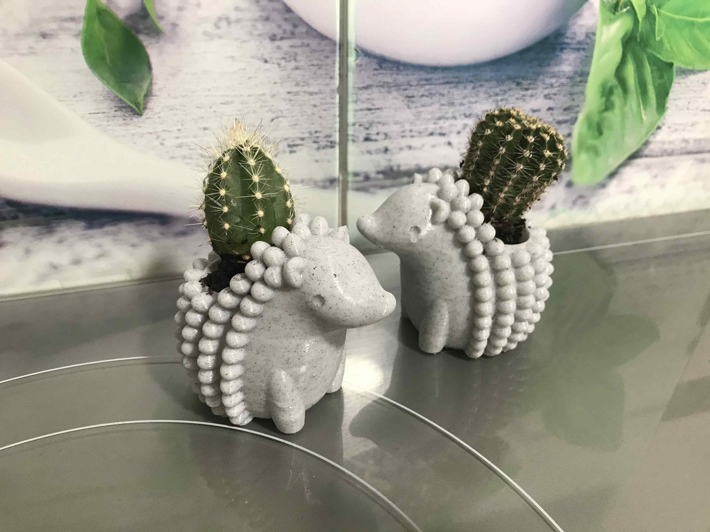 Macetero para cactus forma erizo