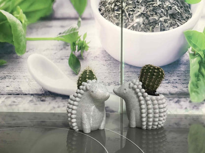 Macetero para cactus forma erizo - Impresión y Regalos 3D